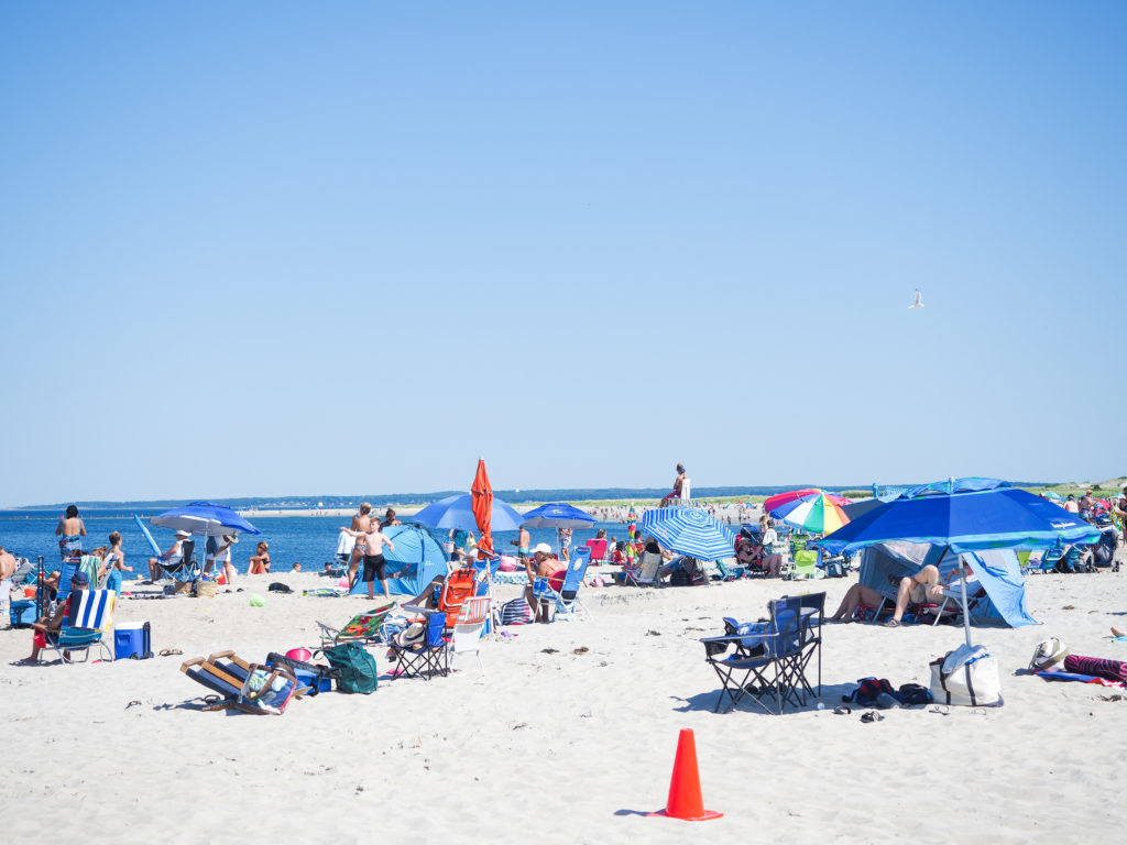 Beach Day