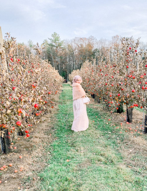 Winter-Wedding-Guest-Dress