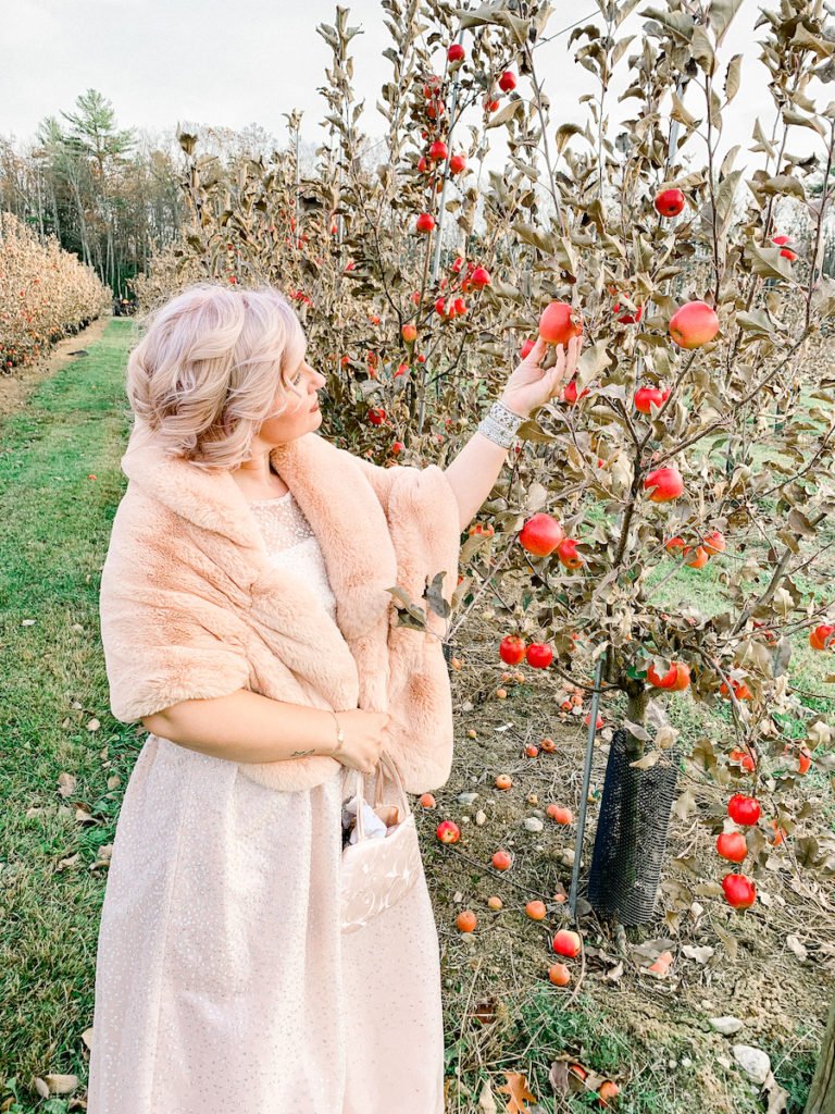 Apple-Orchard-Wedding