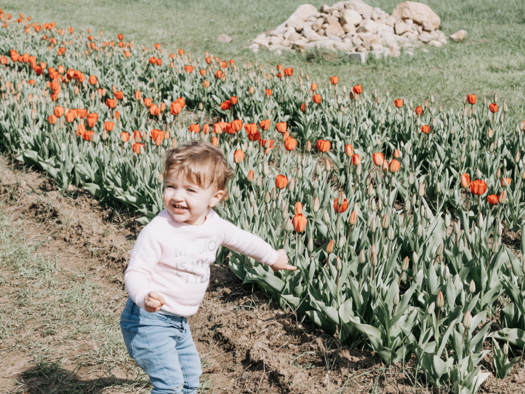 toddler-girl-tip-toeing-through-the-tulips