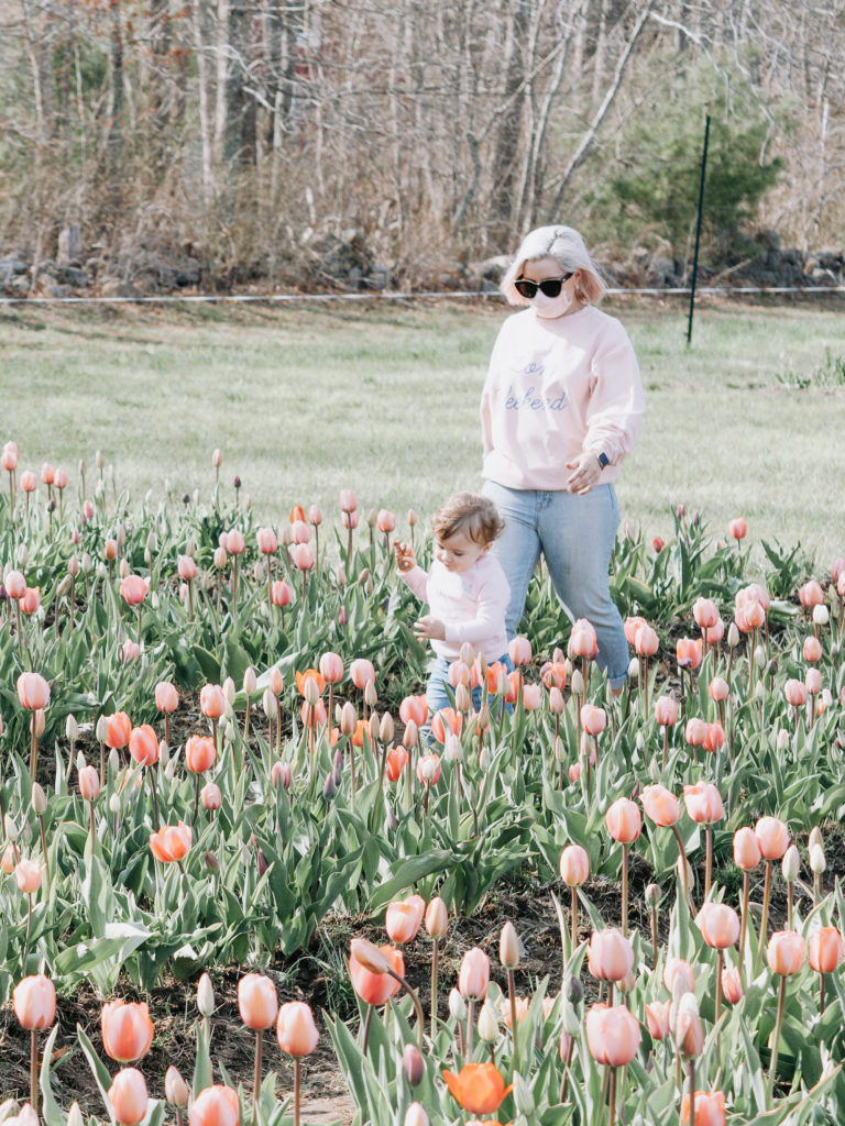 tip-toeing-through-the-tulips