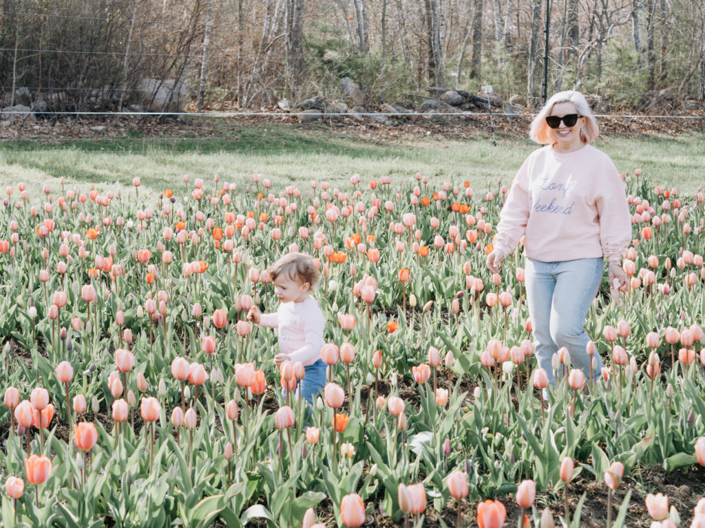 tip-toeing-through-the-tulips