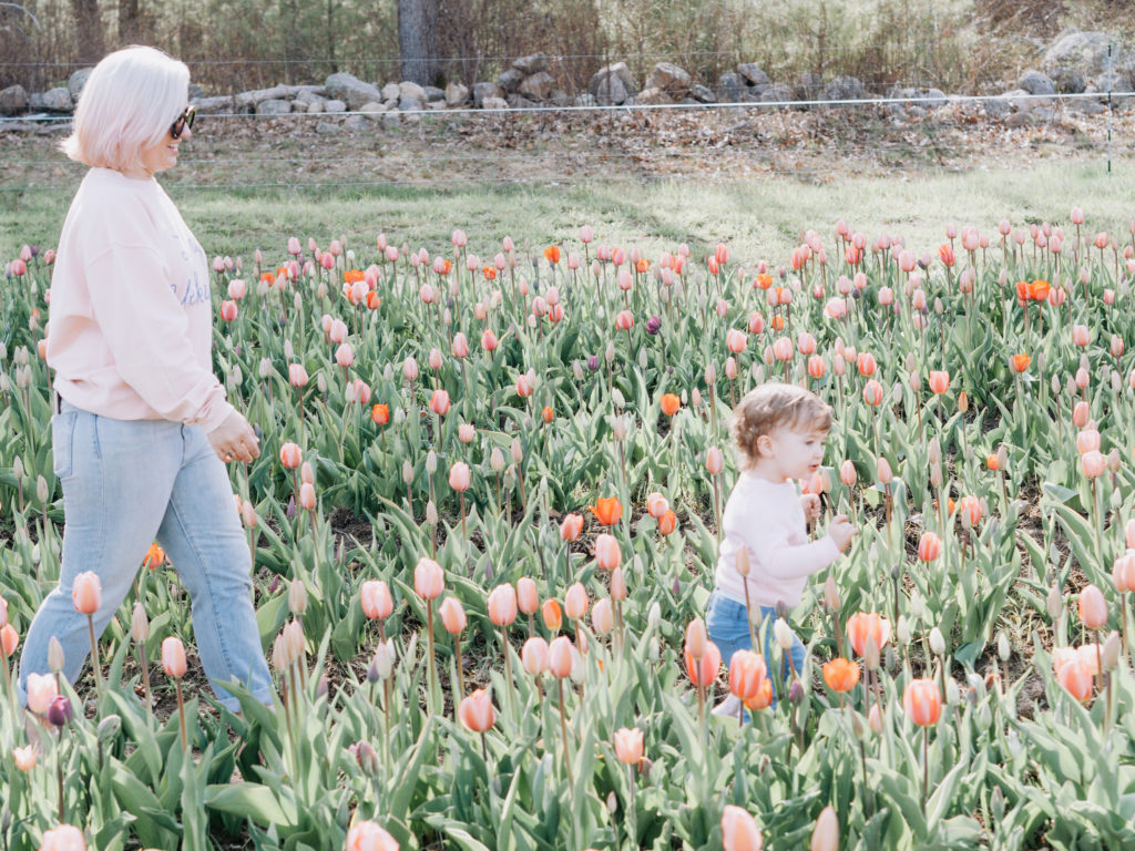 tip-toeing-through-the-tulips