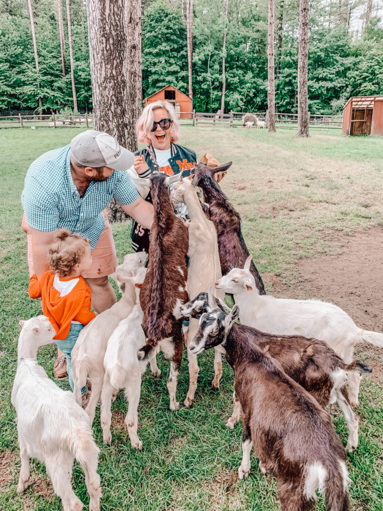 new-hampshire-petting-zoo