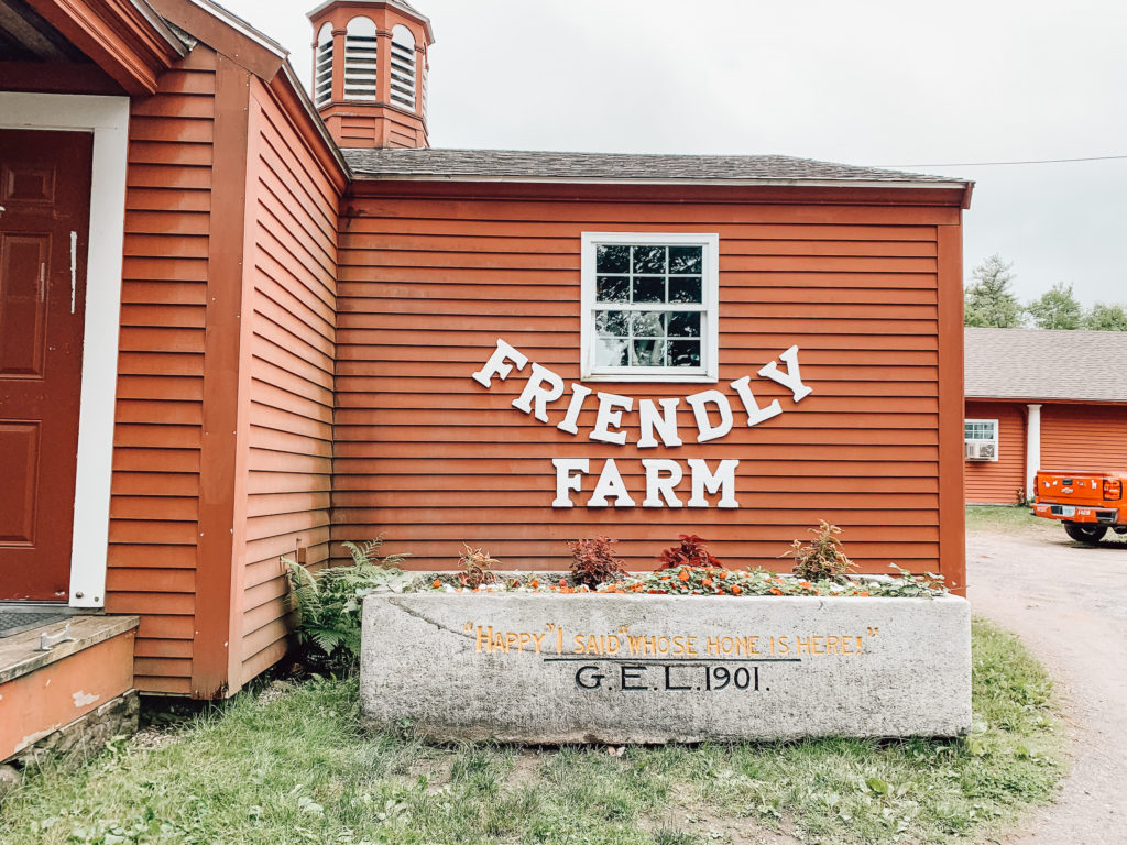 new-hampshire-petting-zoo