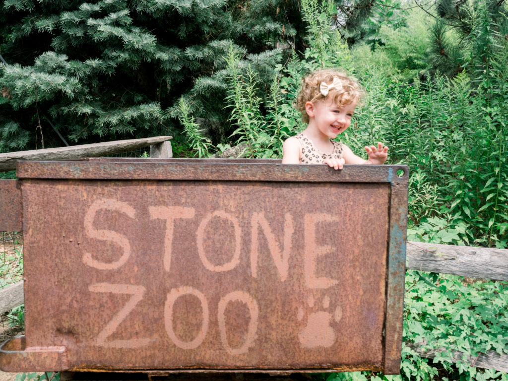 Stone Zoo