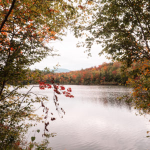 new-england-fall-foliage