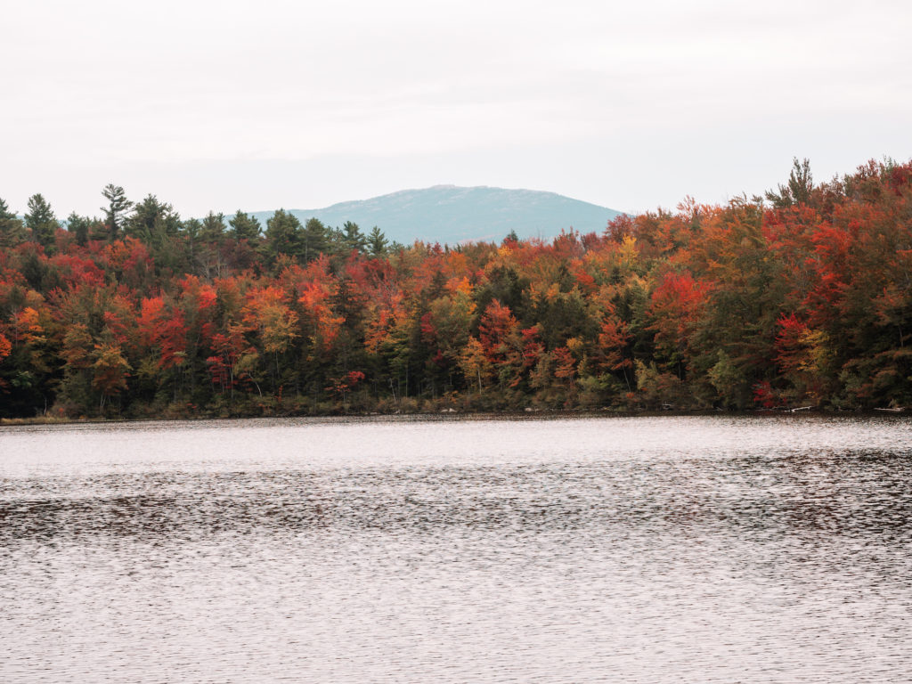 new-england-fall-foliage