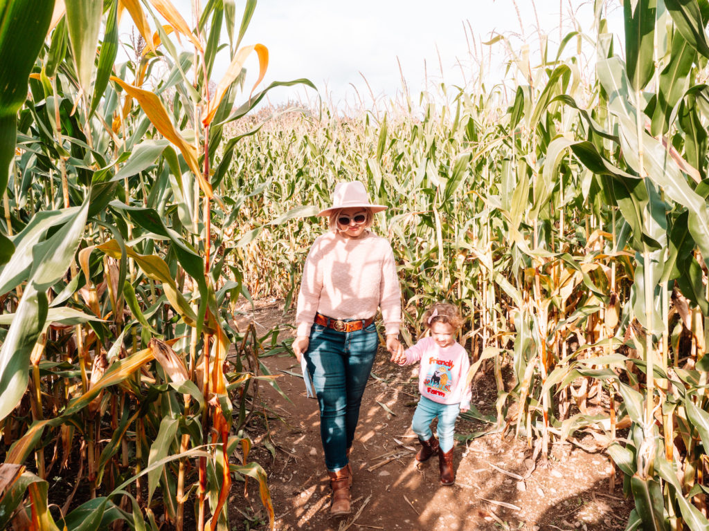 corn-maze-new-england