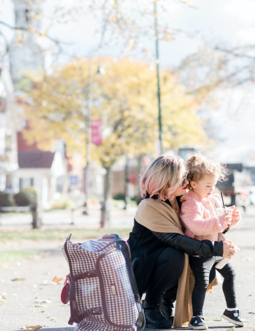 chic-weekender-bags-under-$100