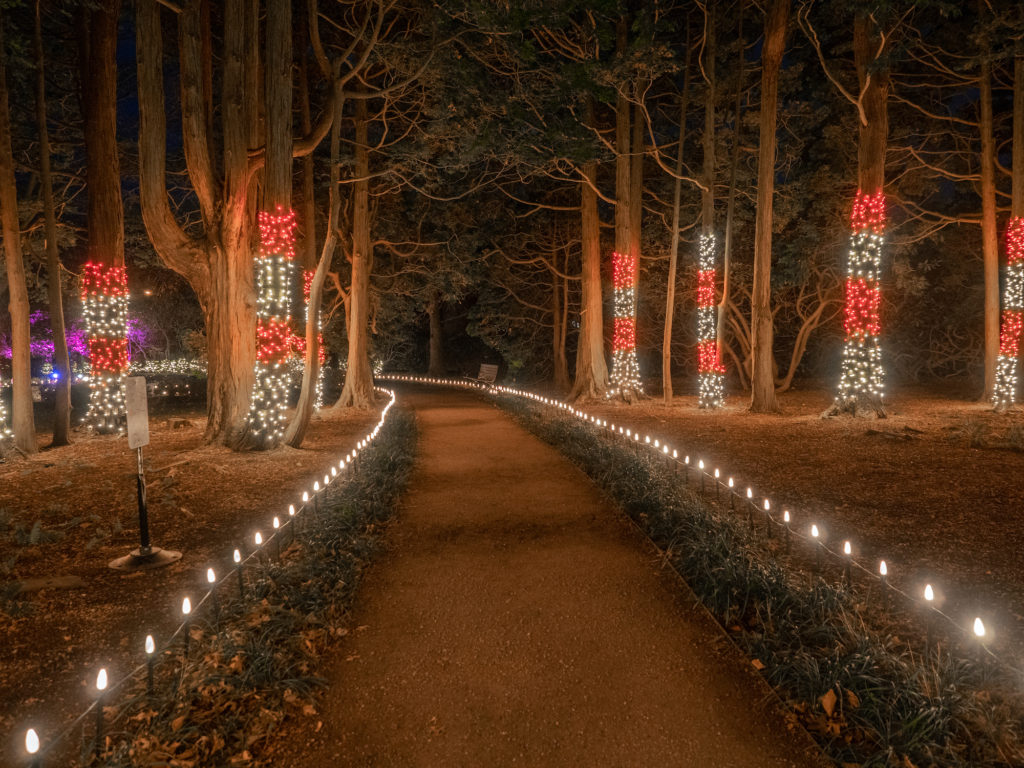 the-newport-mansions-at-christmas-time