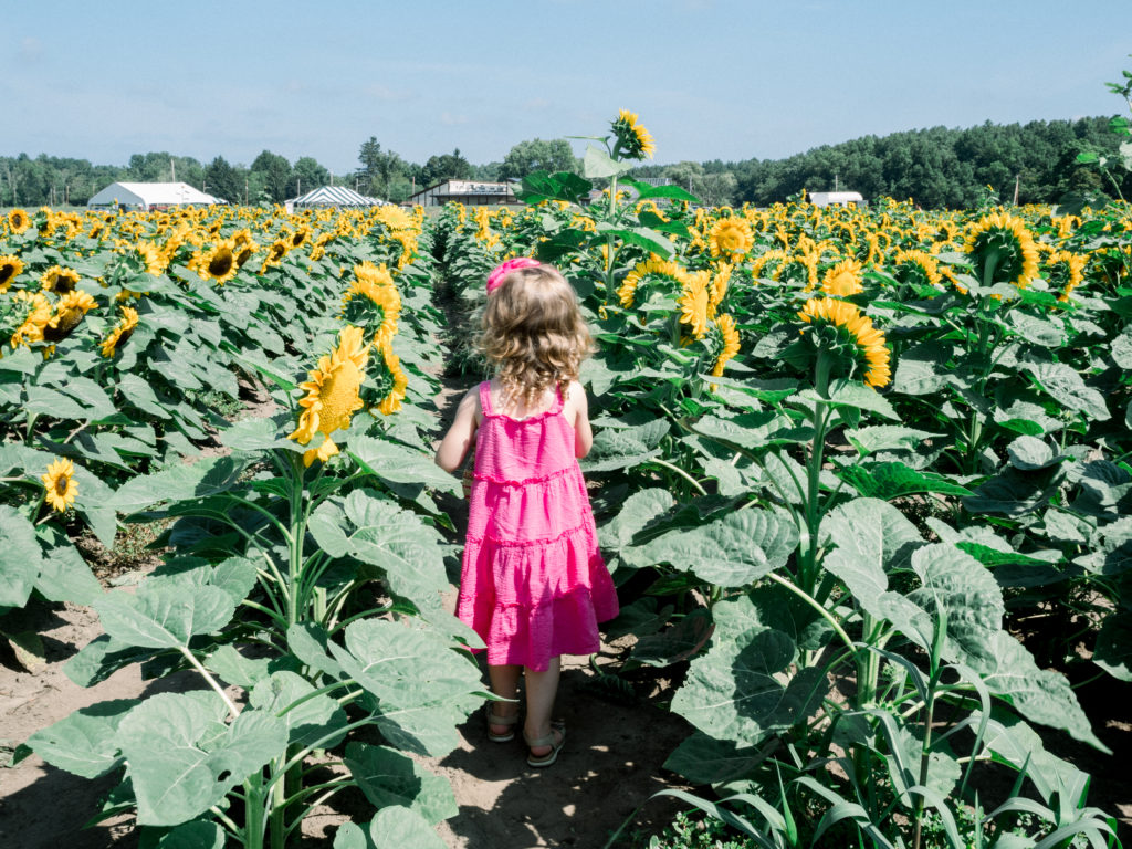 verrill-farm-concord-ma