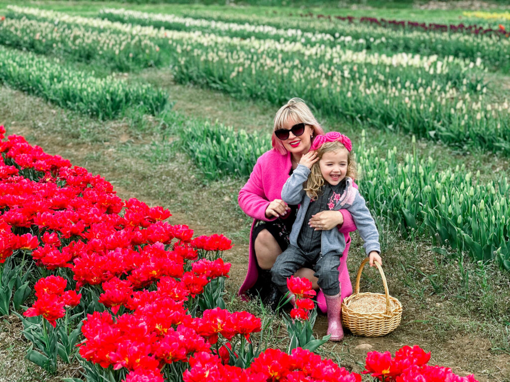 wicked tulips