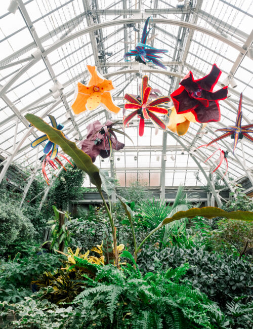 botanic-garden-massachusetts