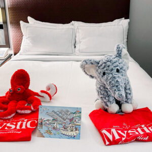 hilton-mystic-hotel-review