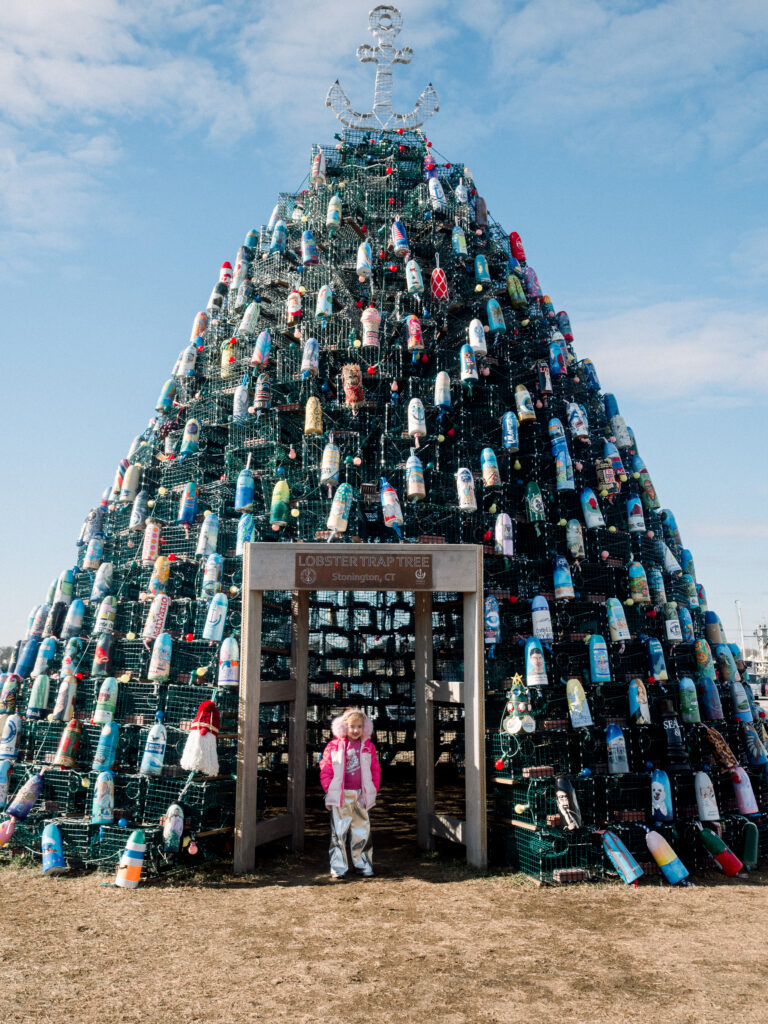 lobster-trap-tree